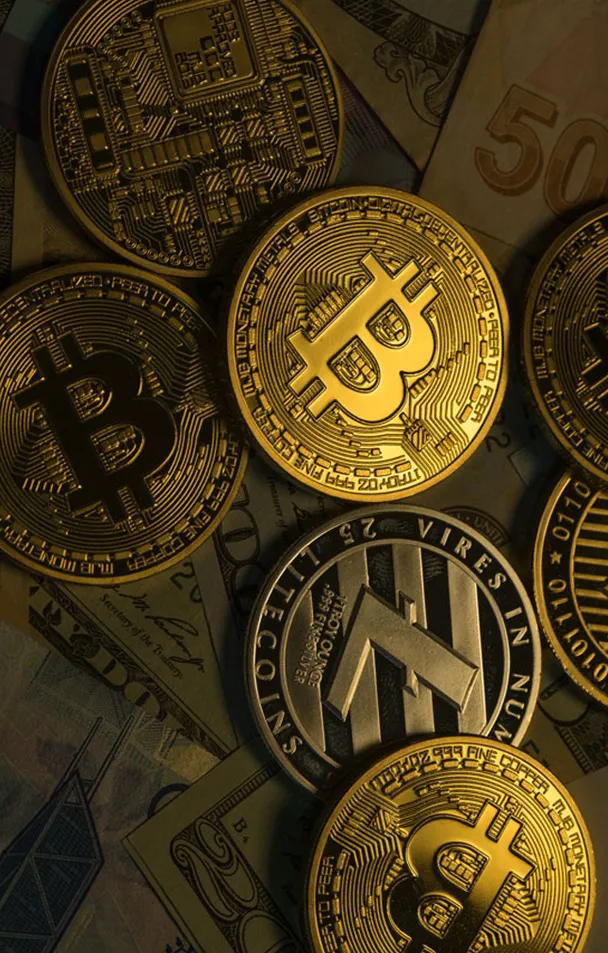 BitUnvox - In what ways can BitUnvox assist you in your trading endeavors?